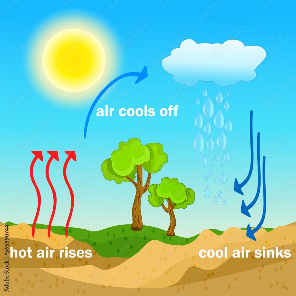 Convection process diagram. Warm air rises and cool air sinks. Hot and ...