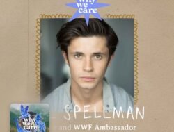 We Buy Homes For Cash Real Estate Made Easy