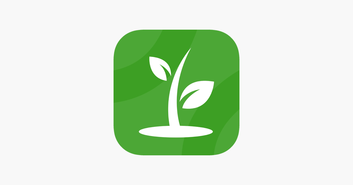 Selective Focus Photo of Delicious Red Apple Fruit With White ...