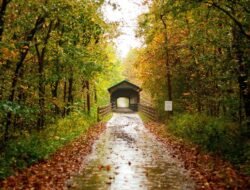 Places to go for mental health near me for rejuvenation