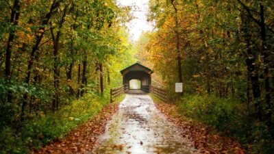 EDITORIALE - trasee biciclete MTB XC - Cross Country - KERUCOV .ro ...