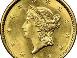 Coin To Cash Machine Near Me For Instant Cash Access