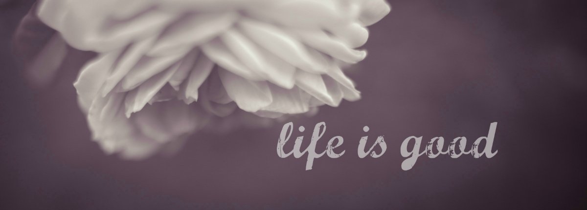 720x1280 wallpaper | Funny, Good Bye, Hospitality, Sign, white color ... 720x1280 wallpaper | Funny, Good Bye, Hospitality, Sign, white color ...