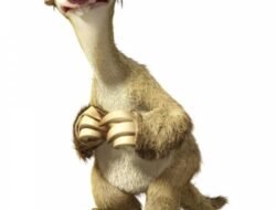 Sid Mashburn Butcher Jacket A Timeless Classic