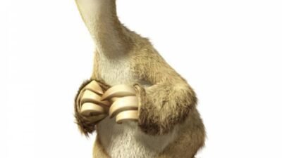 Sid Mashburn Butcher Jacket A Timeless Classic