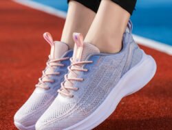 Shoes for Screws The Ultimate Translation Companion