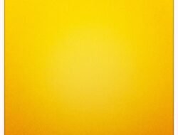 Yellow Jacket Exterminator Near Me For Ultimate Pest Control