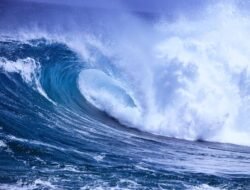 Sea Doo Life Jacket Mens For Ultimate Water Safety