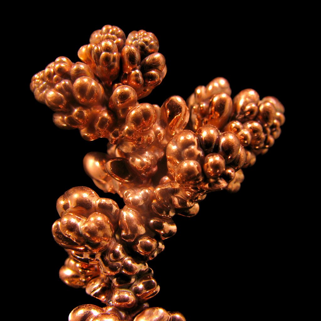 Copper Dendrites | This dendritic structure of pure copper w… | Flickr