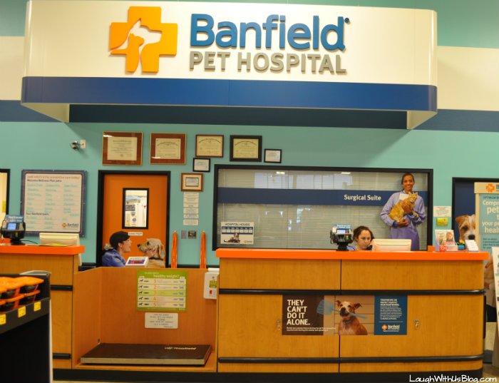 Banfield pet hospital free visit coupon