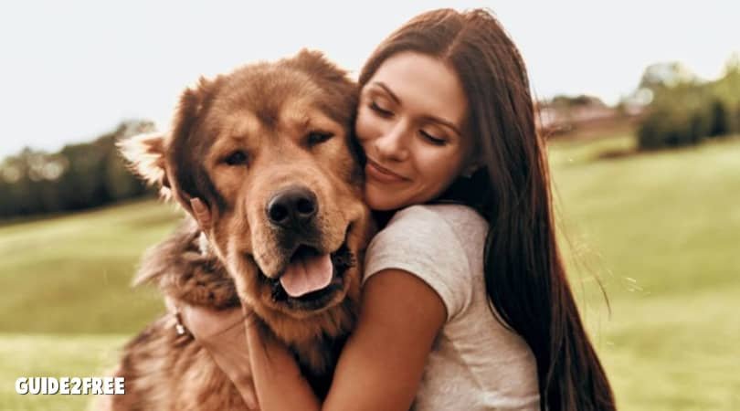 Banfield: FREE Veterinary Pet Exam