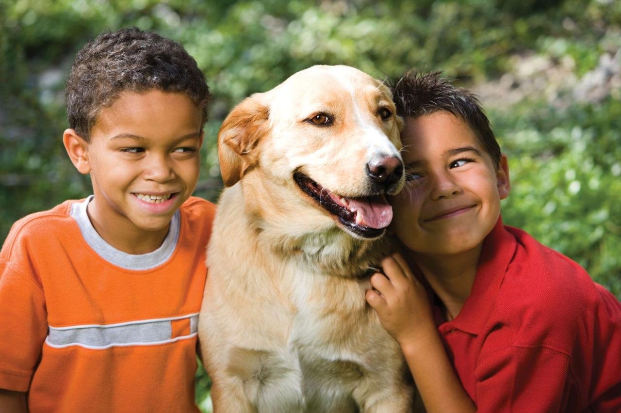 8 Things You Need To Know About Your Pet
