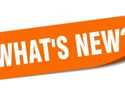 new york times fashion Discover the Essence of Style