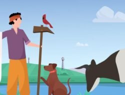 Toggle Pet Insurance For Every Loving Pet Owner