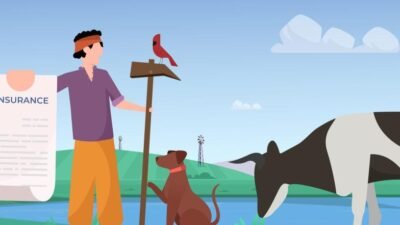 Pet Insurance | Protect The Ones You Love Most | muthapuppa – MUTHAPUPPA