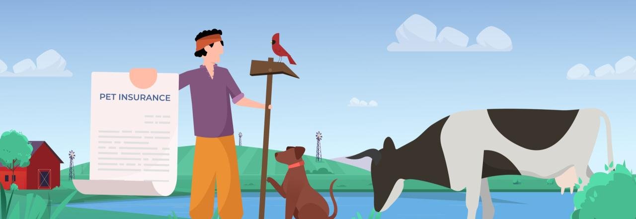 Pet Insurance | Protect The Ones You Love Most | muthapuppa – MUTHAPUPPA