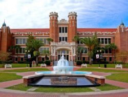 University Of North Texas Fashion Merchandising Program