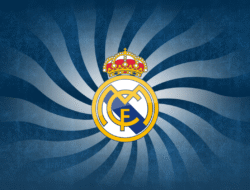 real estate agency nearby Discover Your Dream Home Today