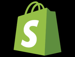 Shopify Store Developer Unlocking E-commerce Success