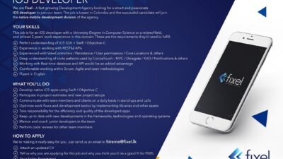 iOS Developer