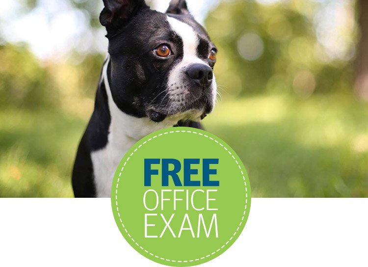 Banfield Pet Hospital APK for Android - Download