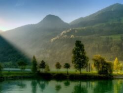 Beautiful window blinds elevate your living space