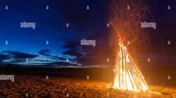 Big beautiful japanese fish hi-res stock photography and images - Alamy