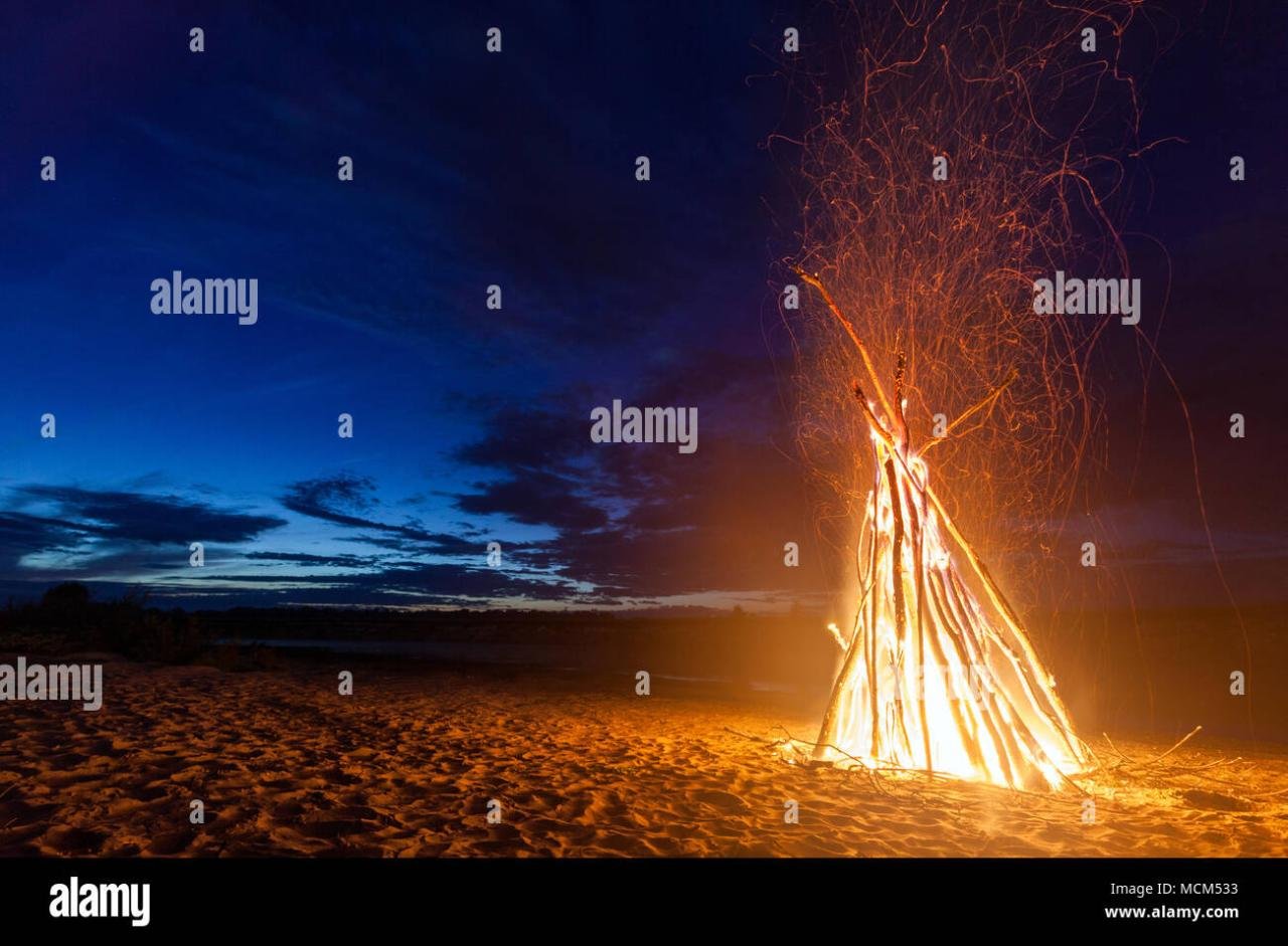 Big beautiful japanese fish hi-res stock photography and images - Alamy