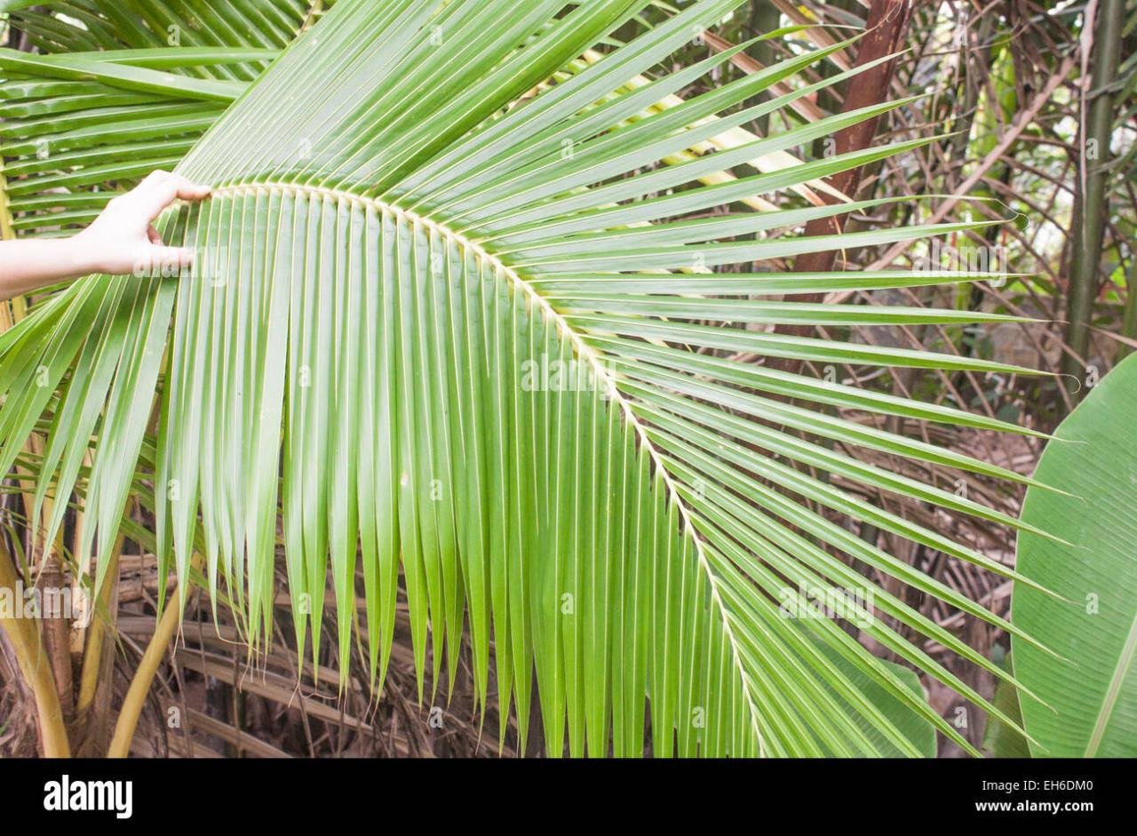 Big Muscle Men, Men's Muscle, Muscle Fitness, Chest Muscles, Big♊️ ...