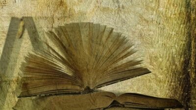 Book Beauty Unveiling the Art of Translation