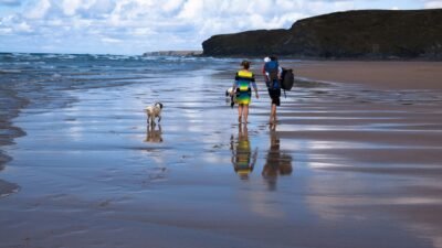 Pet Insurance: What Is It, and Do You Need It?