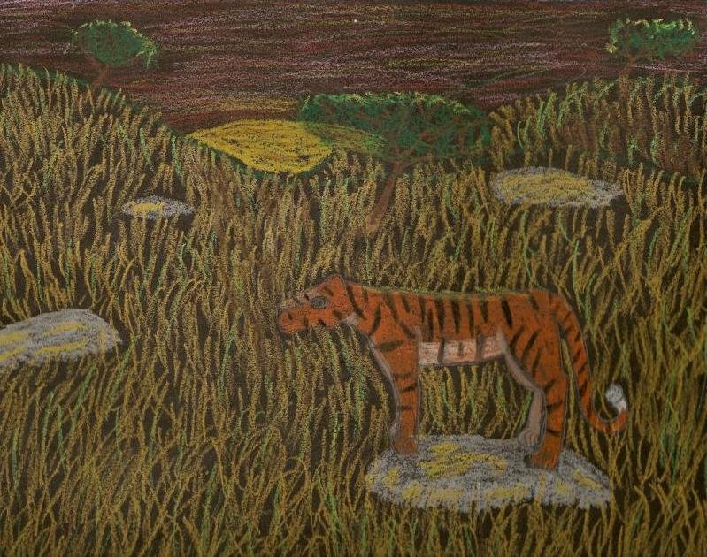 Serengetti - ZooChat