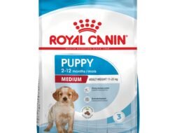 Royal Canin Development Puppy Your Ultimate Choice