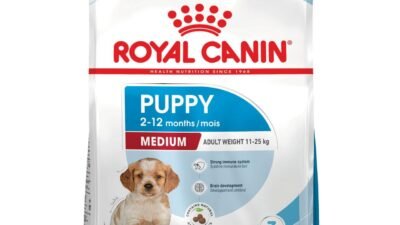 Royal Canin Medium Puppy Junior Dry Dog Food 15kg - $147.99