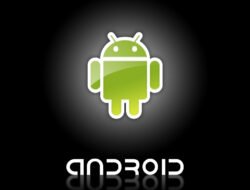 Android Developer Near Me Connect With Top Talent Today