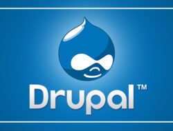 Drupal Developers Near Me For Your Perfect Website