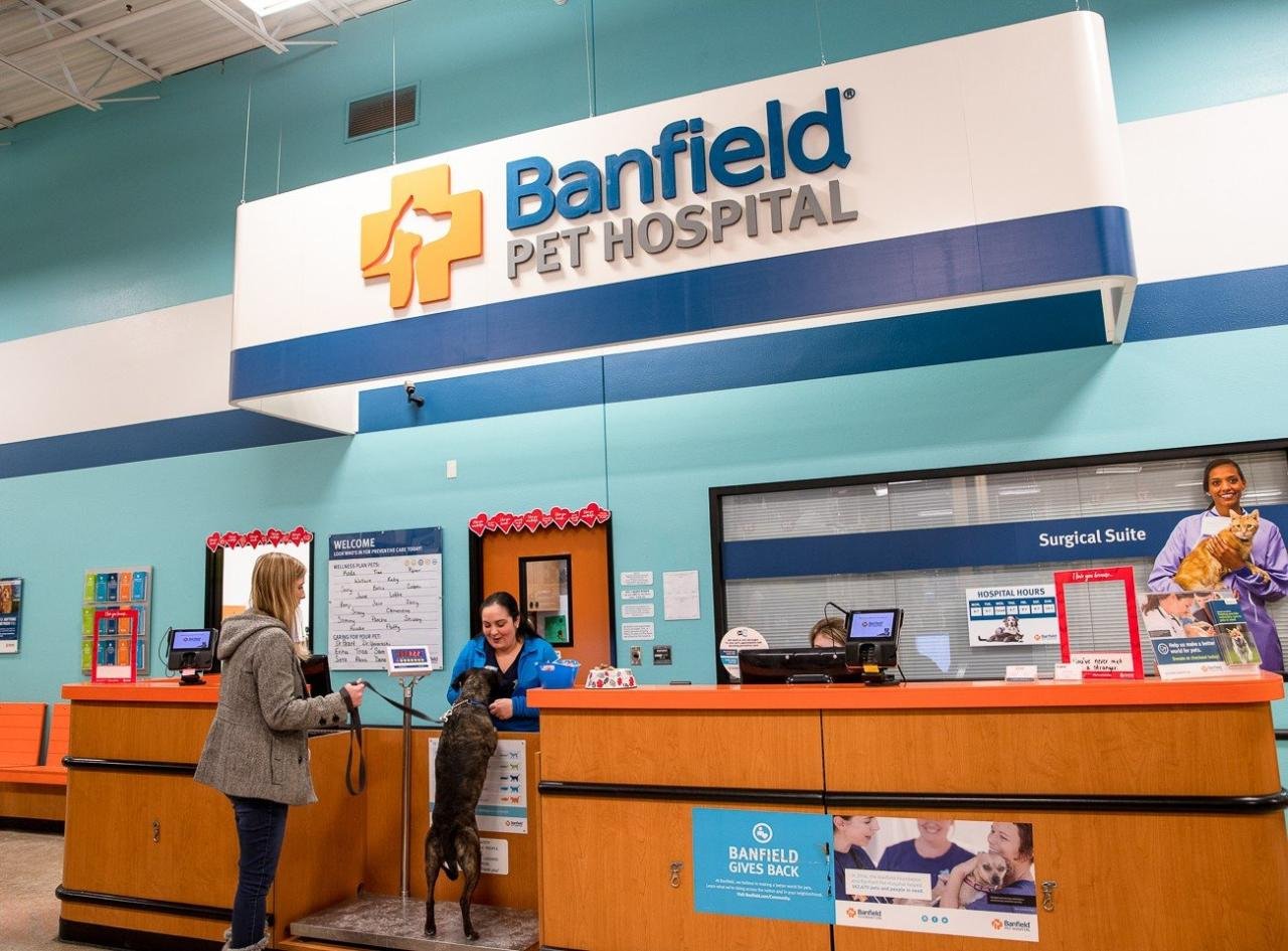 Banfield Pet Hospital Printable Coupons - Printable Word Searches