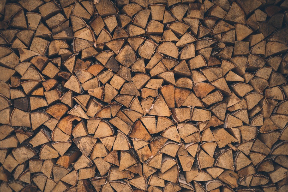Free Images : branch, texture, leaf, floral, pattern, brown, soil ...