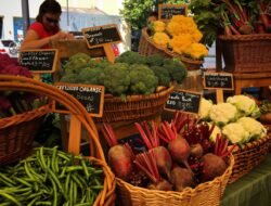 Local Pet Food Delivery Made Easy For Your Furry Friends