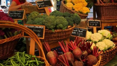 Local Pet Food Delivery Made Easy For Your Furry Friends