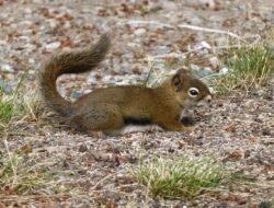 Small Business Health Insurance Prices Made Simple