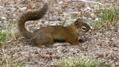 Arrival and Departure - Stuttgart Airport