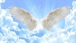 Angel Wings Concept Art - vrogue.co