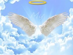 Angel Jackets Coupon Code For Unbeatable Savings