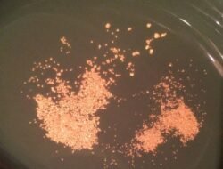 Who buys gold in colorado springs uncover top buyers