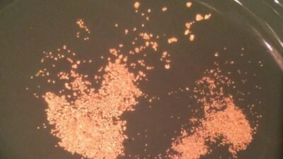 Gold in Colorado Springs | Mine Tours | Gold Panning - How to Find Gold ...