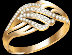 Gold Presidents Discount Code Exclusive Offers Await