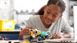 The edX 2017 Year in Review | IBL News