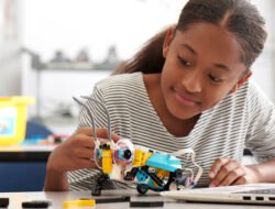 Learning and development training programs for success