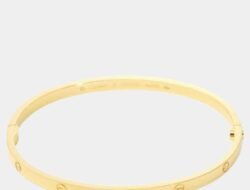 Cartier jewelry for women elegance redefined